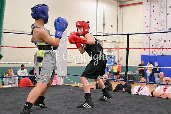TS Boxing 248