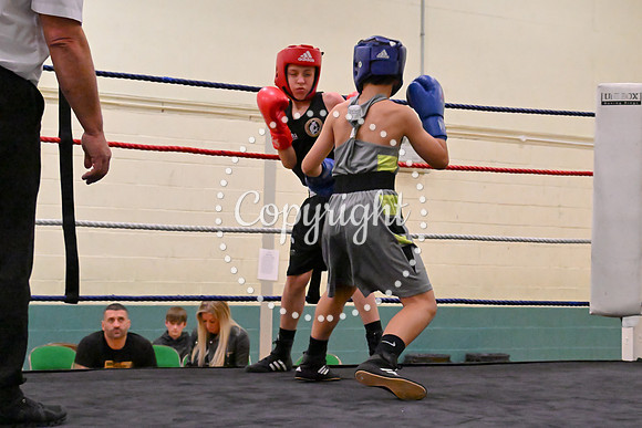 TS Boxing 224