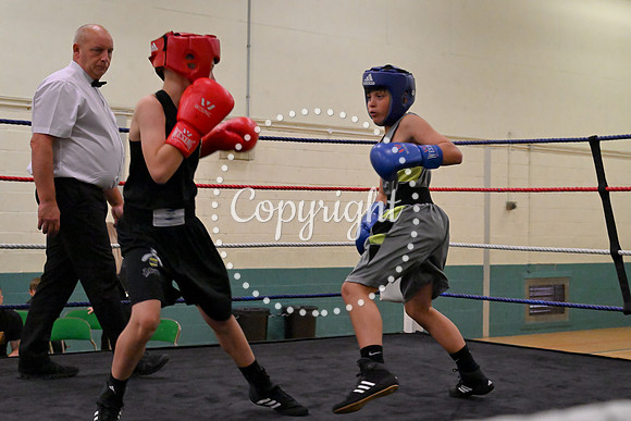 TS Boxing 199
