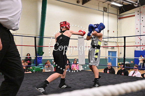 TS Boxing 263
