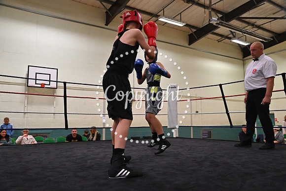 TS Boxing 216
