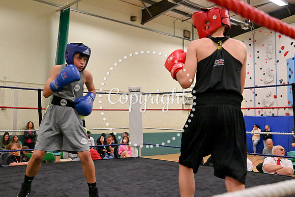 TS Boxing 251