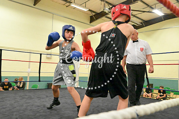 TS Boxing 230