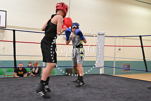 TS Boxing 215