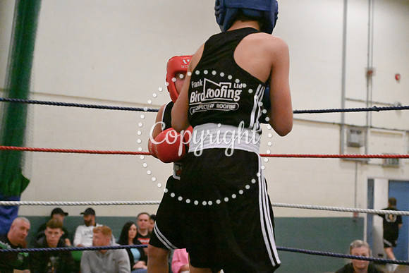 TS Boxing 0347