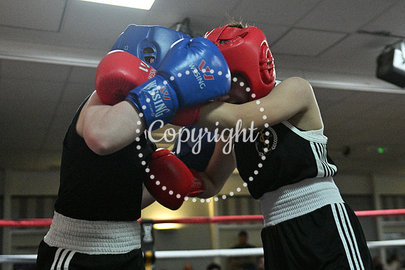 TS1_5235