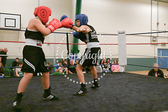 TS Boxing 0330