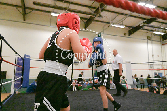 TS Boxing 0337