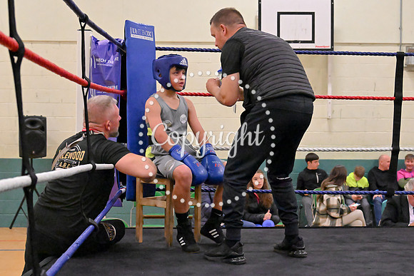 TS Boxing 238
