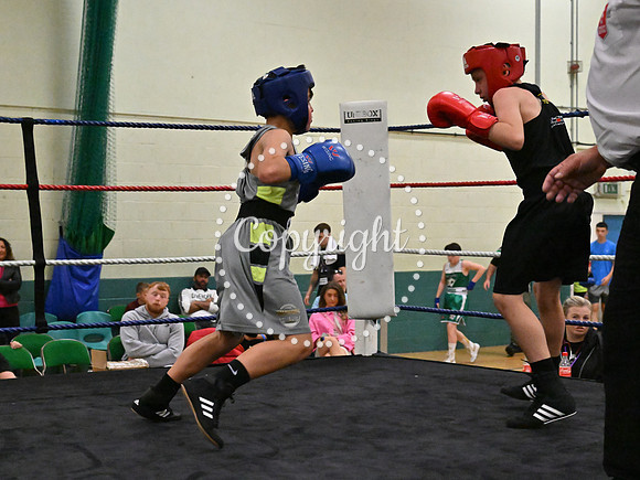 TS Boxing 316