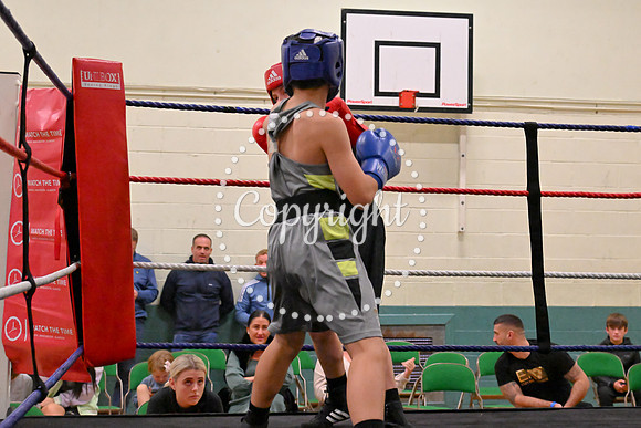 TS Boxing 204