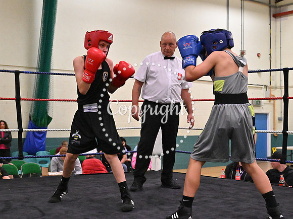 TS Boxing 309