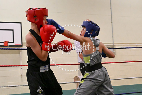 TS Boxing 200