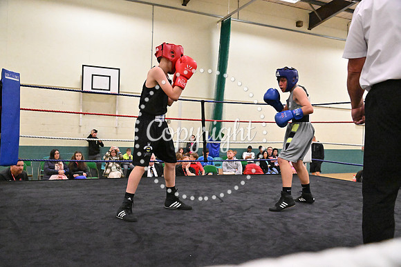 TS Boxing 326