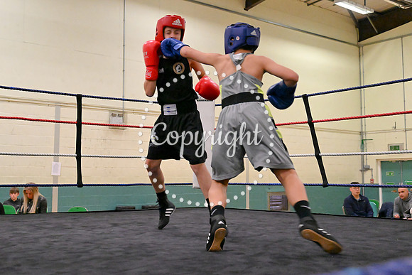 TS Boxing 221