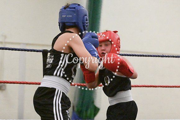 TS Boxing 0361