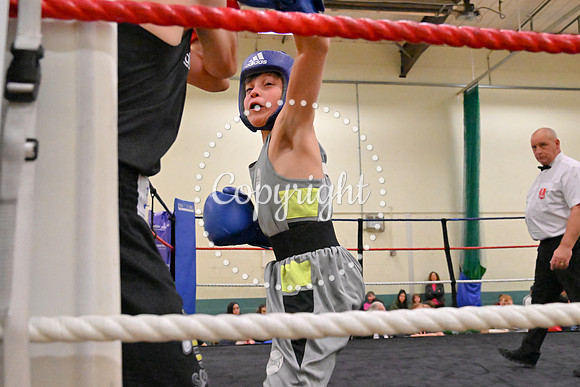 TS Boxing 267