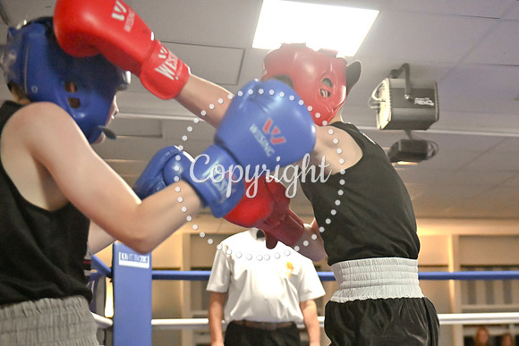 B2-1677