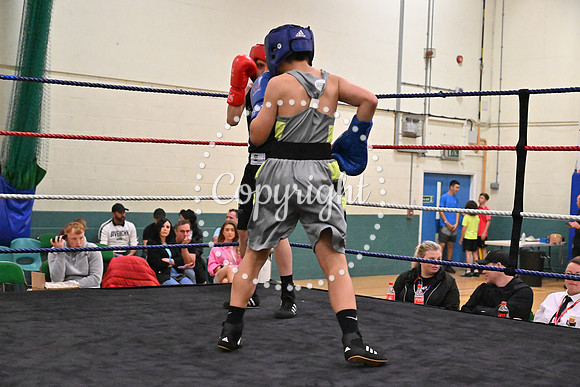 TS Boxing 245