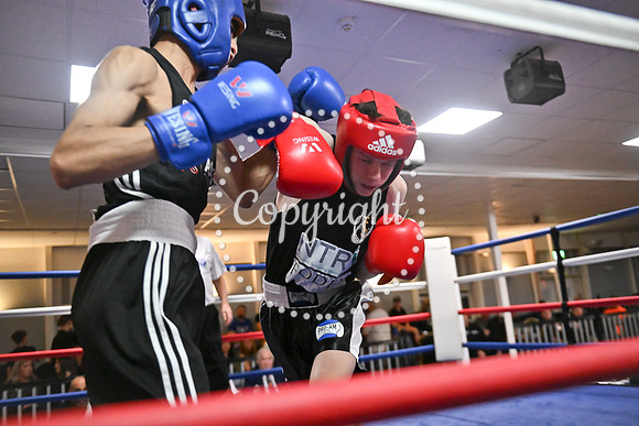 B12-3544