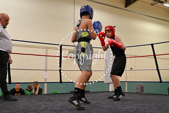 TS Boxing 226