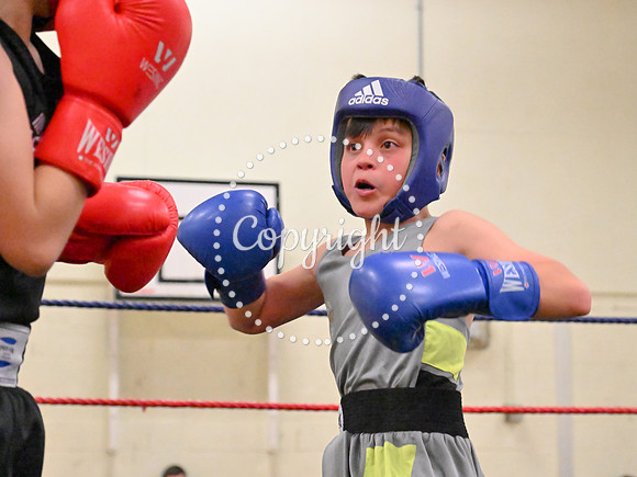 TS Boxing 304