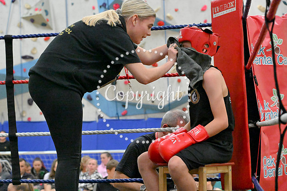 TS Boxing 282