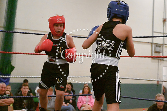 TS Boxing 0349
