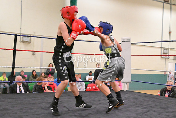 TS Boxing 331