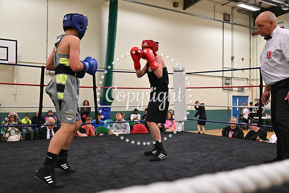 TS Boxing 338