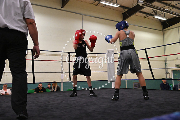 TS Boxing 219