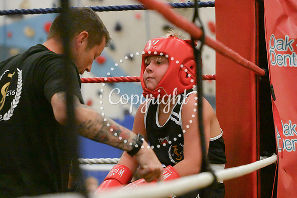 TS Boxing 0393