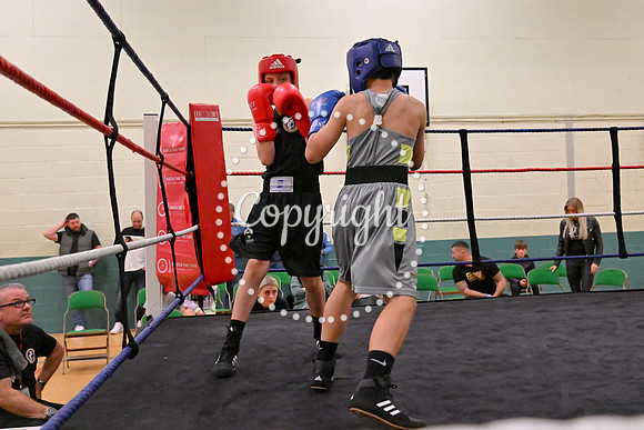 TS Boxing 203