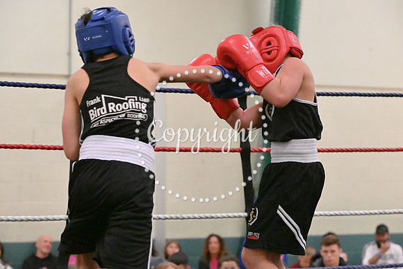 TS Boxing 0412