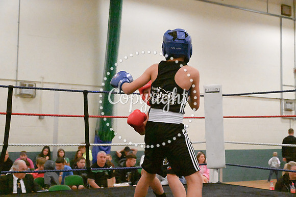 TS Boxing 0345