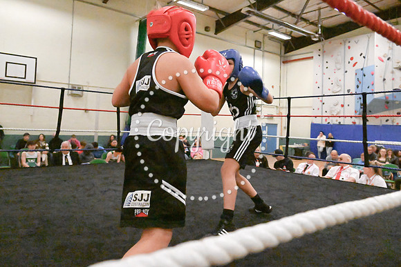 TS Boxing 0327