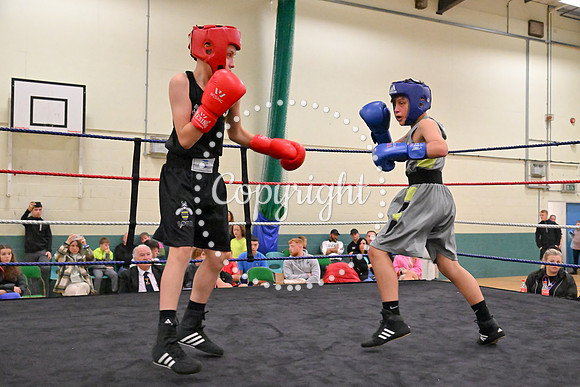 TS Boxing 325