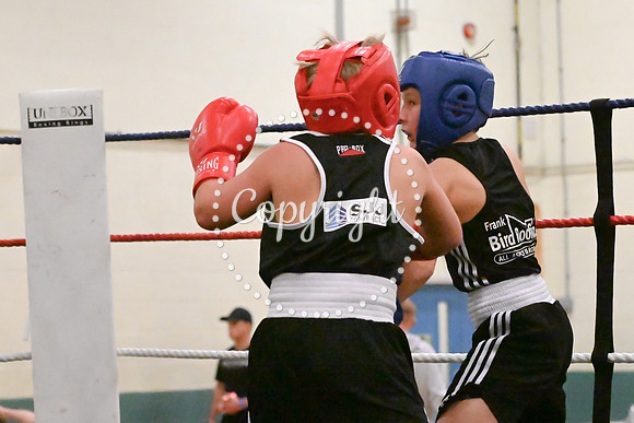 TS Boxing 0383