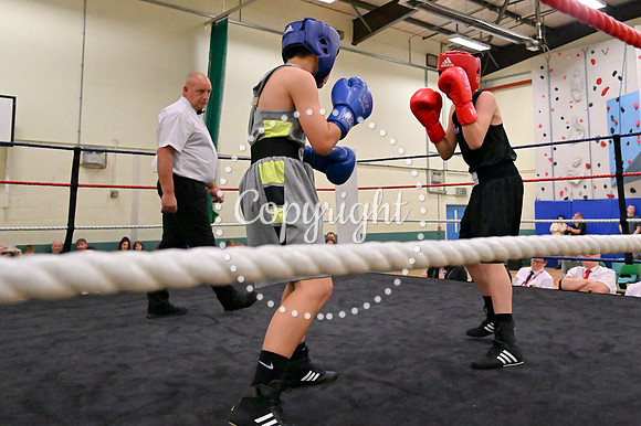 TS Boxing 271