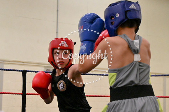 TS Boxing 209