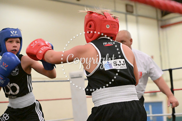 TS Boxing 0403