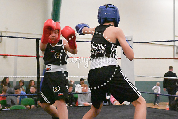 TS Boxing 0343
