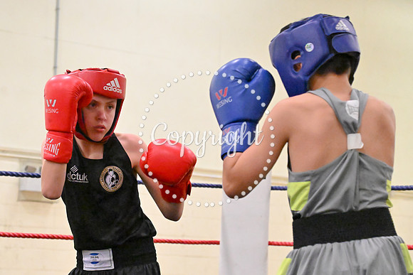 TS Boxing 212