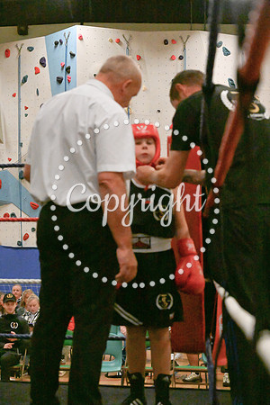TS Boxing 0300