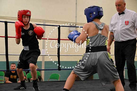 TS Boxing 189