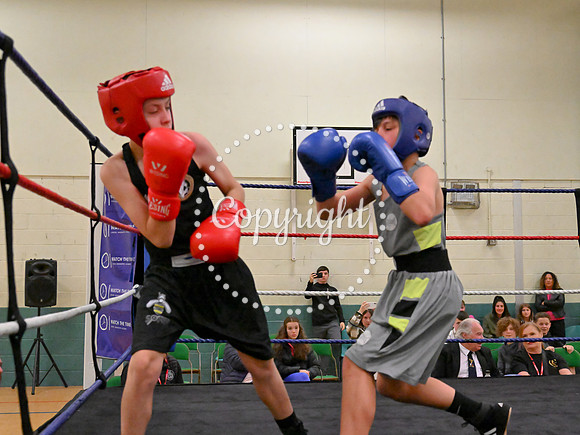 TS Boxing 296