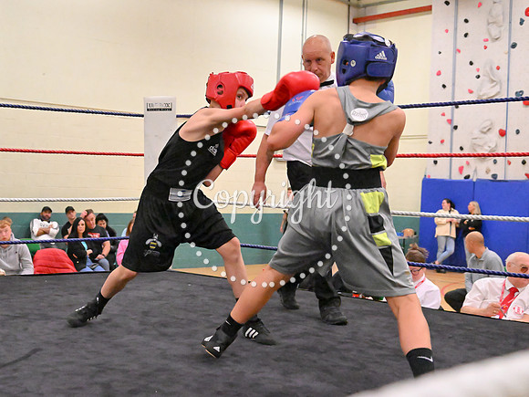 TS Boxing 311