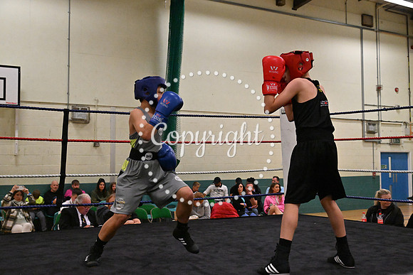 TS Boxing 253