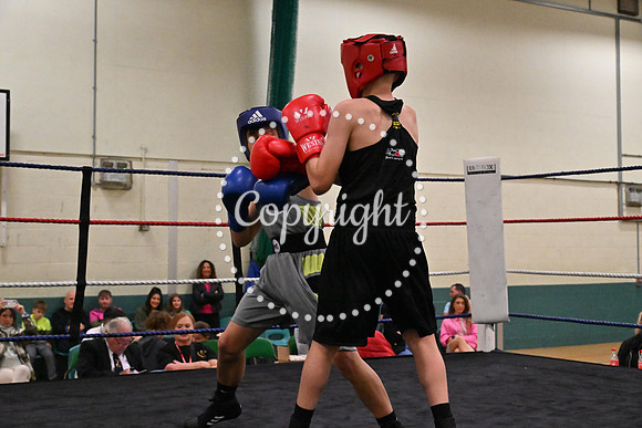 TS Boxing 249