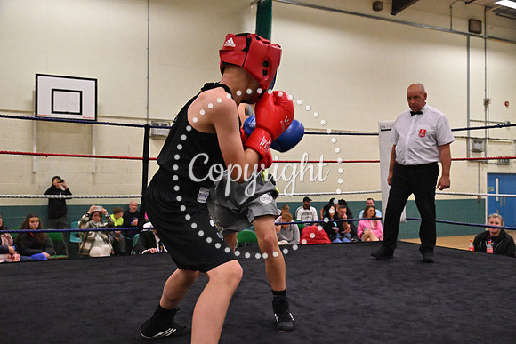 TS Boxing 257